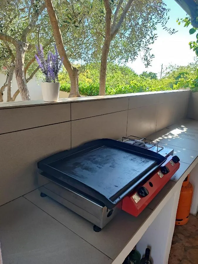 Apartment Villa Maya Liznjan Croatia